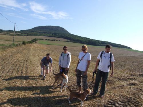 Kliknite za ogled večje slike
