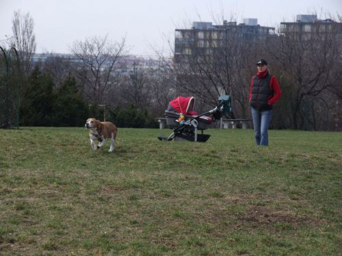 Kattints ide a teljes kép megtekintéséhez