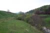 Krmeni_Medvedu-104.jpg