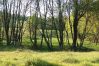 Krmeni_Medvedu-31.jpg