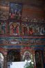 Krmeni_Medvedu-44.jpg
