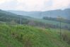 Krmeni_Medvedu-82.jpg