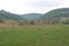 Krmeni_Medvedu-99.jpg