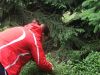 DSCF3467.JPG