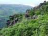 DSCF2739.JPG