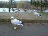 DSC00039.JPG