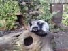 DSC00041.JPG