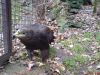 DSC00047.JPG