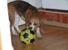 DSCF0851.JPG