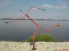DSC00275.JPG