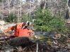 DSCF0614.JPG