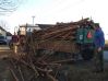 DSCF0639.JPG