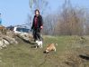 DSCF1541.JPG