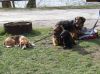 DSCF1175.JPG