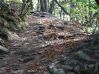 DSCF0269.JPG