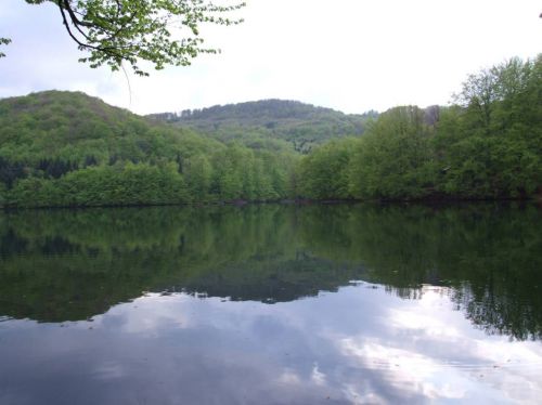 Kliknite za ogled večje slike