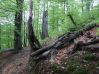 CykloExpedice0334.JPG