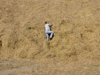 براي نمايش بزرگترين اندازه كليك كنيد