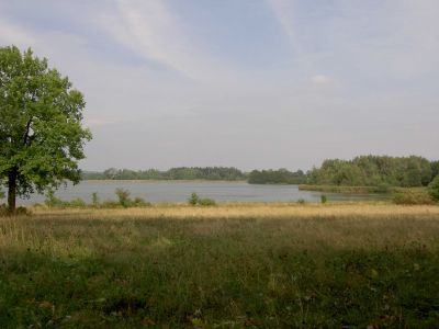 Kliknite za ogled večje slike