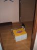 파일명=DSCF3219.JPG
파일크기=91KB
너비,높이=777x1036
등록일=11월 21, 2007 DSCF3219.JPG