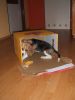 파일명=DSCF3222.JPG
파일크기=109KB
너비,높이=777x1036
등록일=11월 21, 2007 DSCF3222.JPG