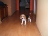 파일명=DSCF3224.JPG
파일크기=95KB
너비,높이=1036x777
등록일=11월 21, 2007 DSCF3224.JPG