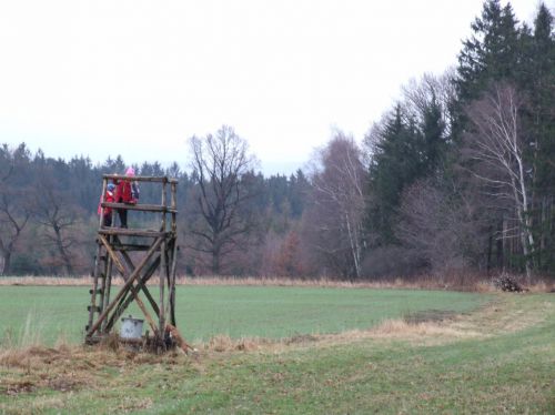 Kliknite za ogled večje slike