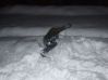 DSCF3693.JPG