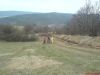 DSC00142.JPG