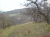 DSC00170.JPG