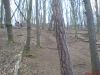 DSC00176.JPG