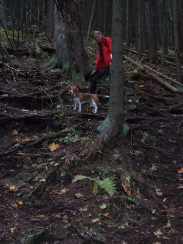 Kattints ide a teljes kép megtekintéséhez