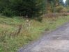 DSCF5959.JPG