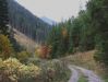 DSCF5973.JPG