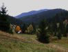 DSCF5991.JPG