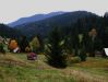 DSCF5992.JPG