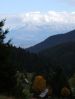 DSCF5996.JPG