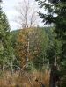 DSCF6012.JPG