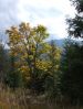 DSCF6016.JPG