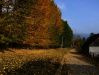 DSCF6033.JPG