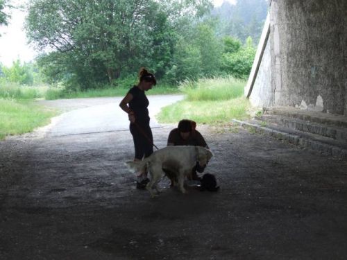 Kliknite za ogled večje slike