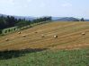 DSCF9782.JPG
