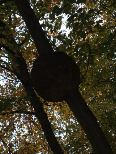 Klikkaa kuvaa nähdäksesi se täysikokoisena