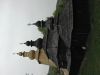 DSCN7474.JPG