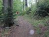 DSCN7499.JPG