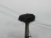 DSCN7542.JPG