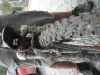DSCN7552.JPG