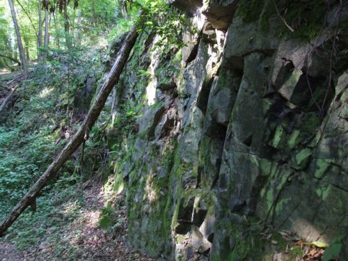 Kliknite za ogled večje slike