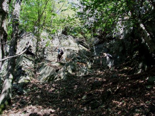 Клікніть щоб побачити фото повного розміру